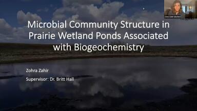 Identifying the Microbial Communities That Methylated Mercury in Prairie Wetland Ponds